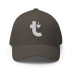 Debut Fitted Hat
