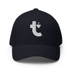 Debut Fitted Hat
