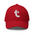 Debut Fitted Hat