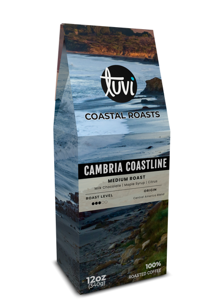 Cambria Coastline - Box